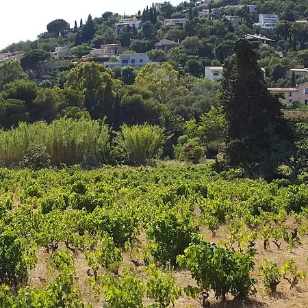 Vue Sur Mer Exceptionnelle Iles D'or *
