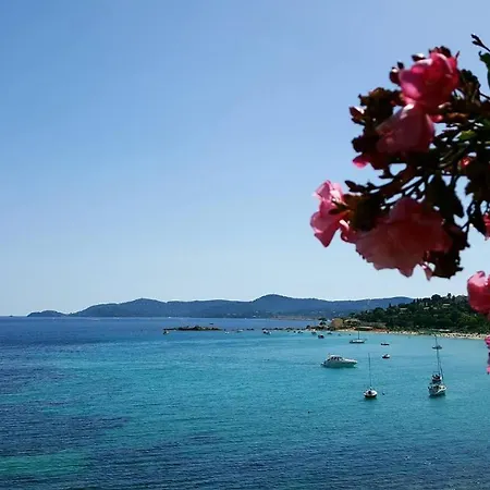 Vue Sur Mer Exceptionnelle Iles D'or * Bormes-les-Mimosas