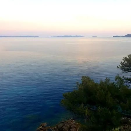 Vue Sur Mer Exceptionnelle Iles D'or Διαμέρισμα