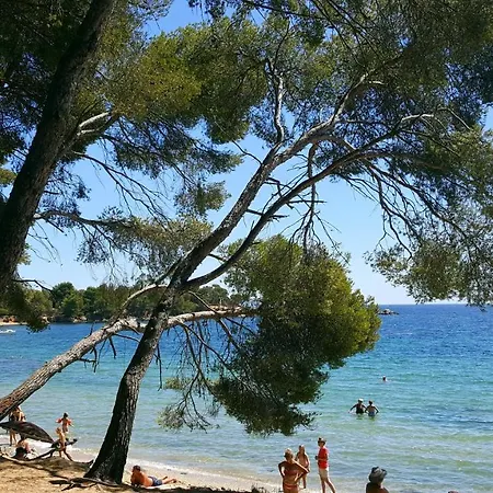 Vue Sur Mer Exceptionnelle Iles D'or *
